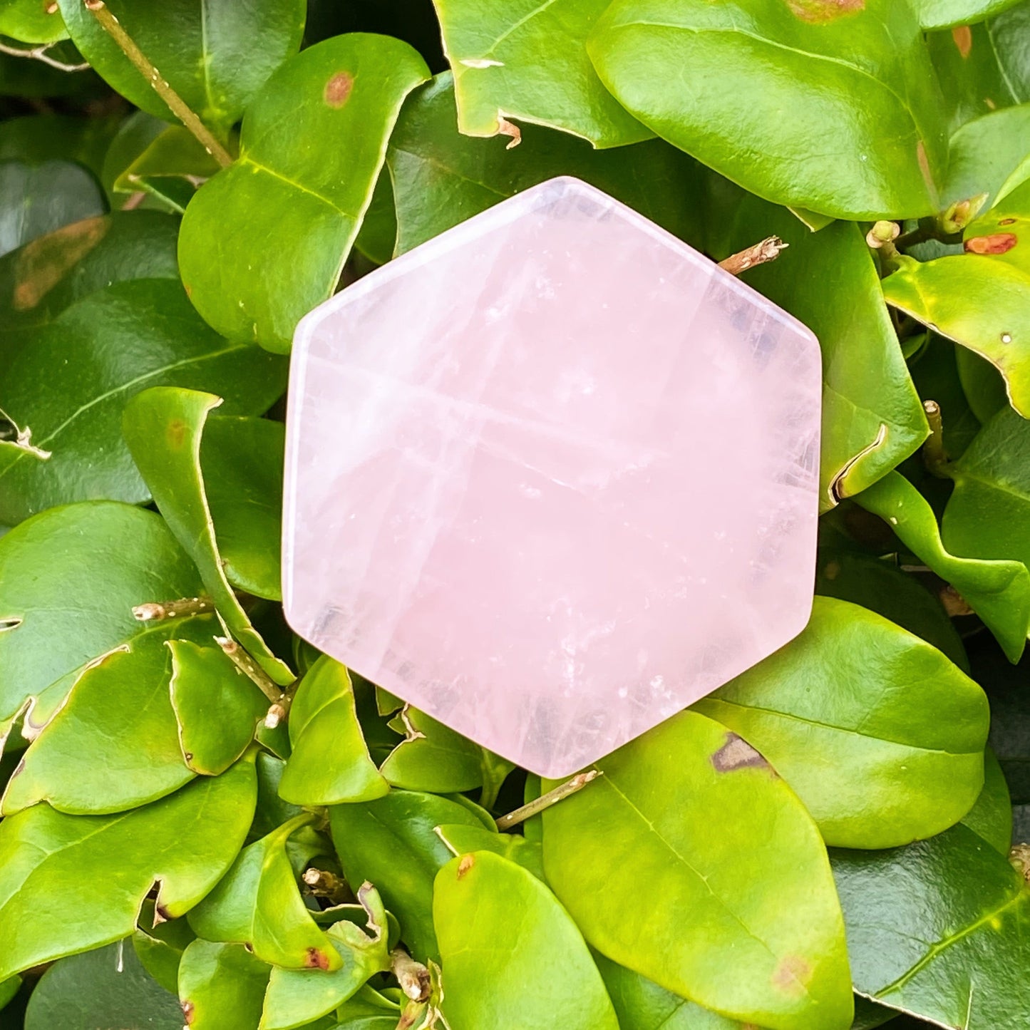 Hexagon Natural Stone Device Grip by Ellisonyoung.com