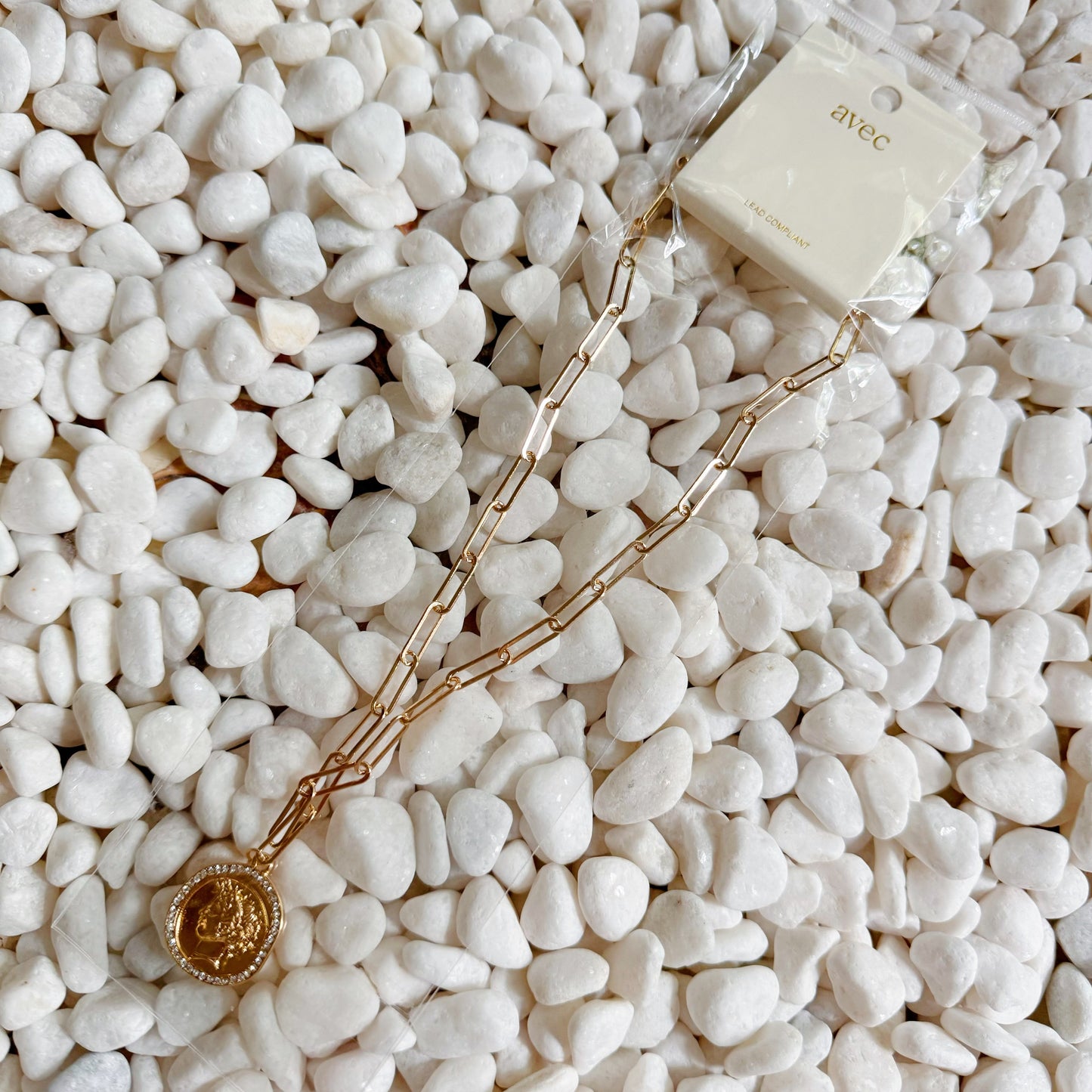 Glam Edge Coin Link Chain Necklace by Ellisonyoung.com
