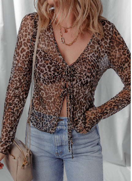 Multicolour Leopard Sheer Mesh Long Sleeve V Neck Lace-up Blouse