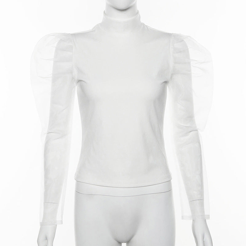 Long Sleeve Sheer Mesh T-Shirt