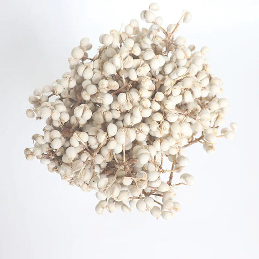 Dried White Fruit Flowers 100g for Home Decor DIY