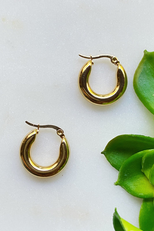 Sienna Huggie Hoop Earrings by Ellisonyoung.com