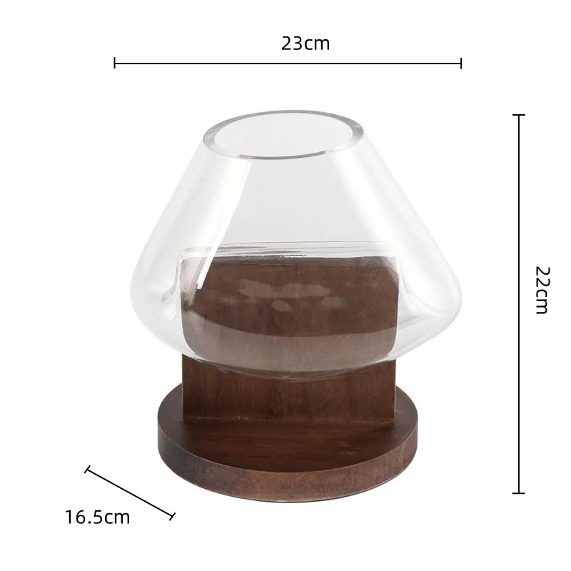 DecorBites™ Glass Vase Terrarium Home Decoration Accessory