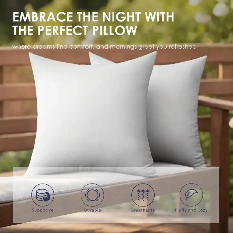 Throw Pillows, 2 pack