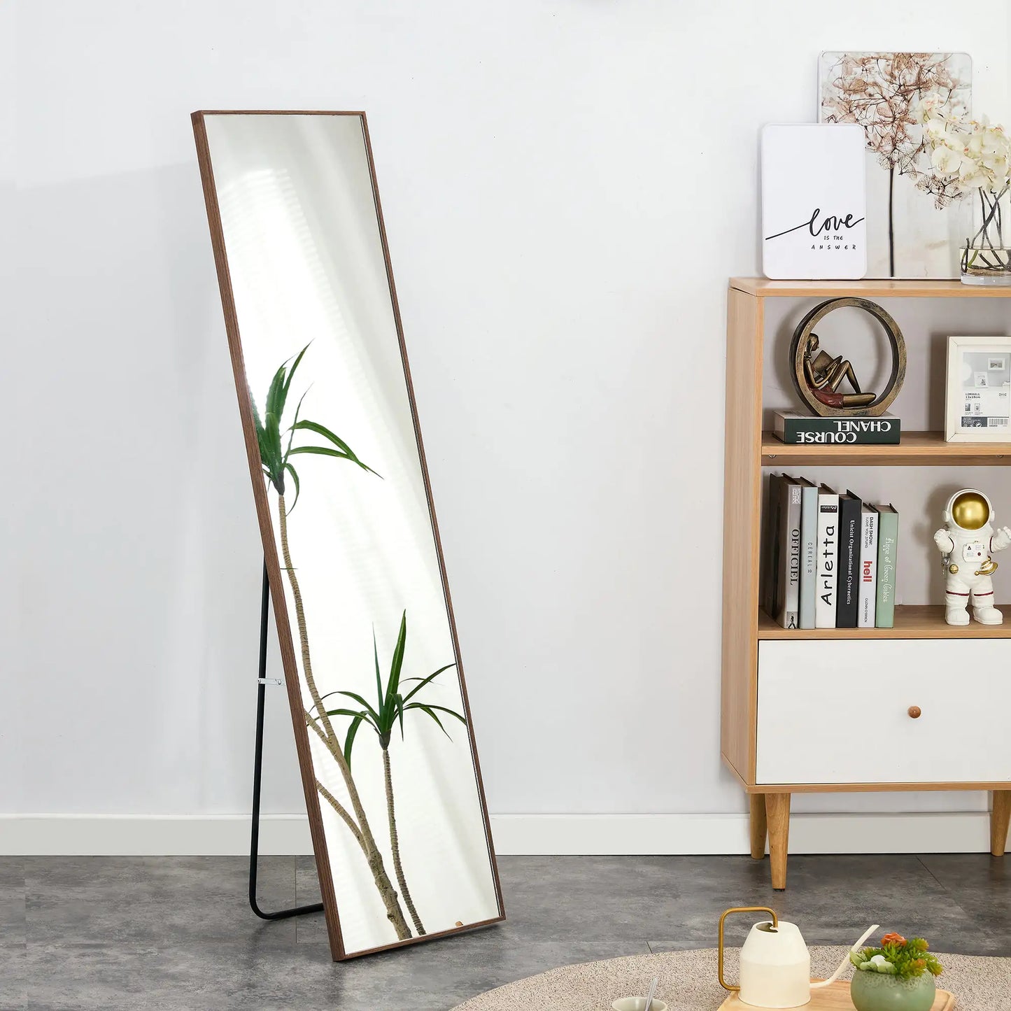 Solid Wood Broen Frame Full Length Mirror