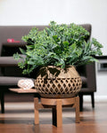 Geometric Elegance Vase with Stand – 3D-Printed Modern Home Decor