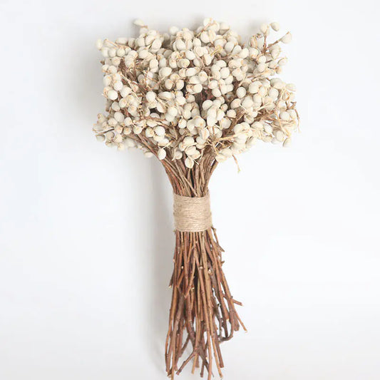 Dried White Fruit Flowers 100g for Home Decor DIY